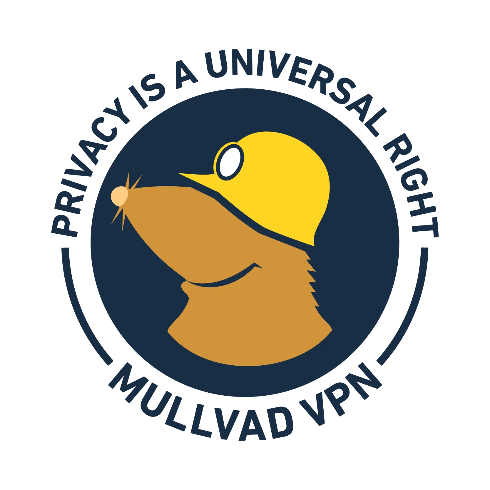 Mullvad VPN logosu